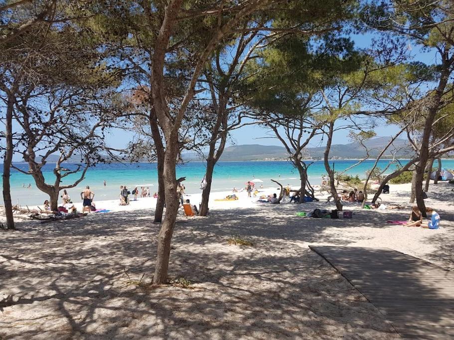 La Perla Bianca - Alghero Lido, Vicino Al Mare المظهر الخارجي الصورة